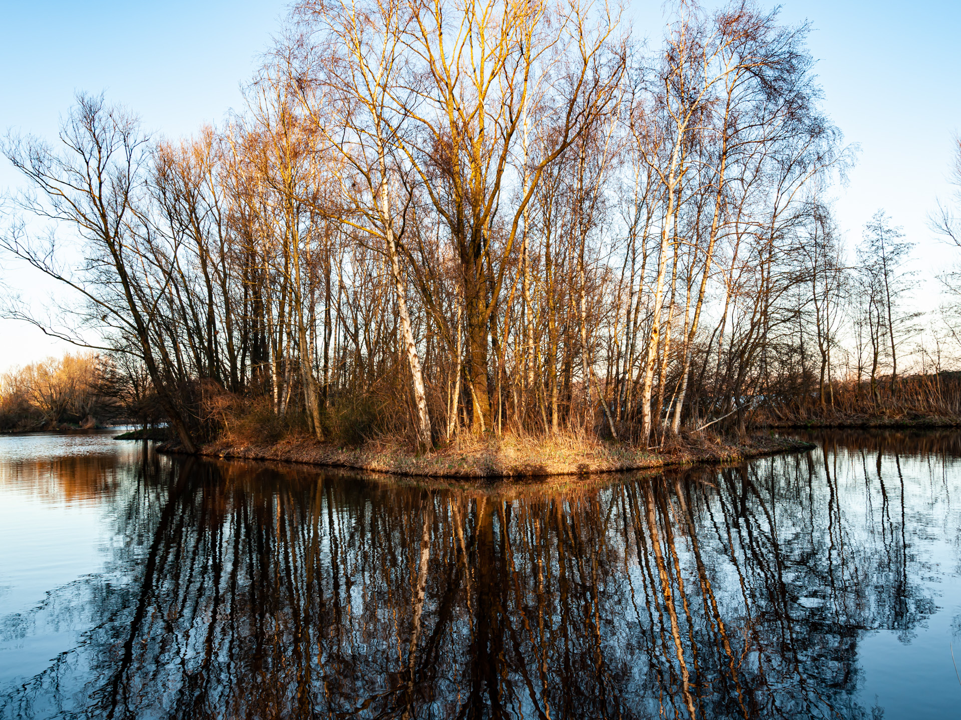 spiegeling jagersveld-4579.jpg